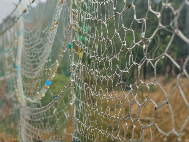 wildlife friendly netting